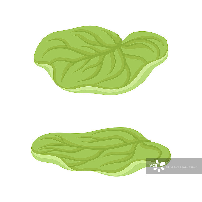 绿色叶子睡莲水生植物合集图片素材