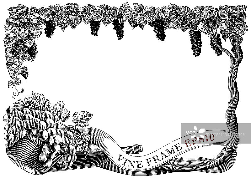 手绘复古雕刻风格葡萄藤框架图片素材