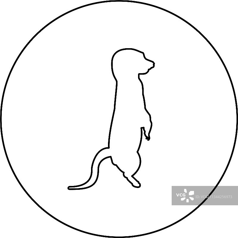 站立的猫鼬剪影图片素材