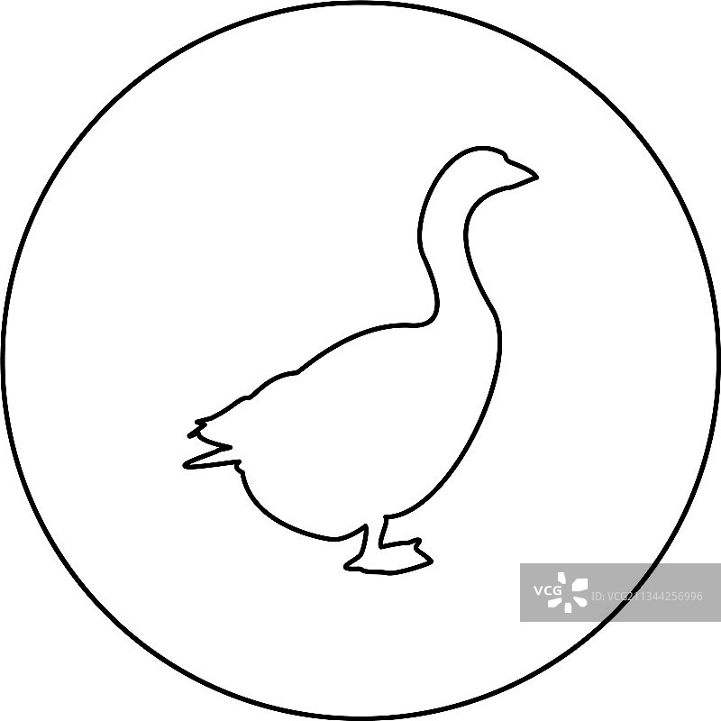 鹅、小鹅、家鹅剪影图片素材