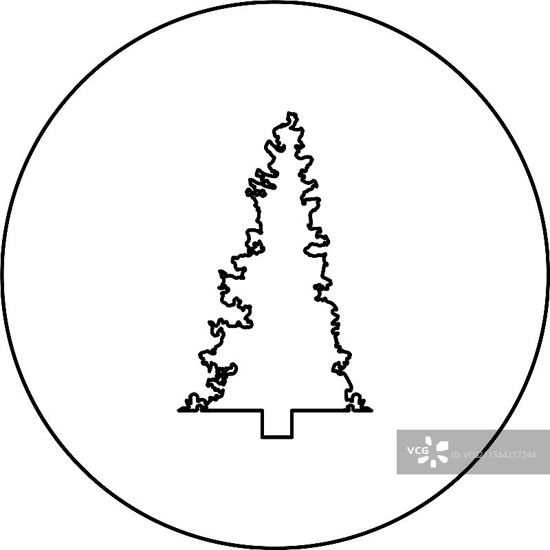 冷杉树圣诞节针叶云杉松树森林图片素材