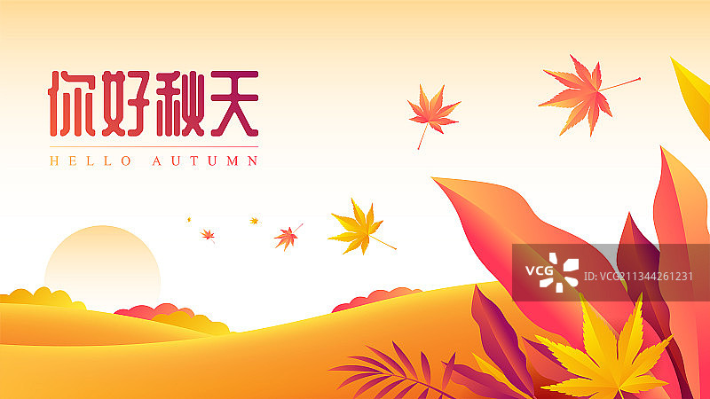 秋天枫叶插画图片素材