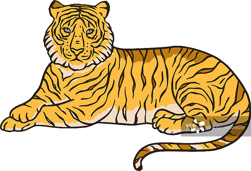 孟加拉虎卡通丛林野生动物园热带动物图片素材