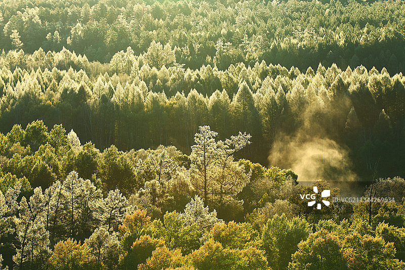金秋树林结霜后的雾凇景观图片素材