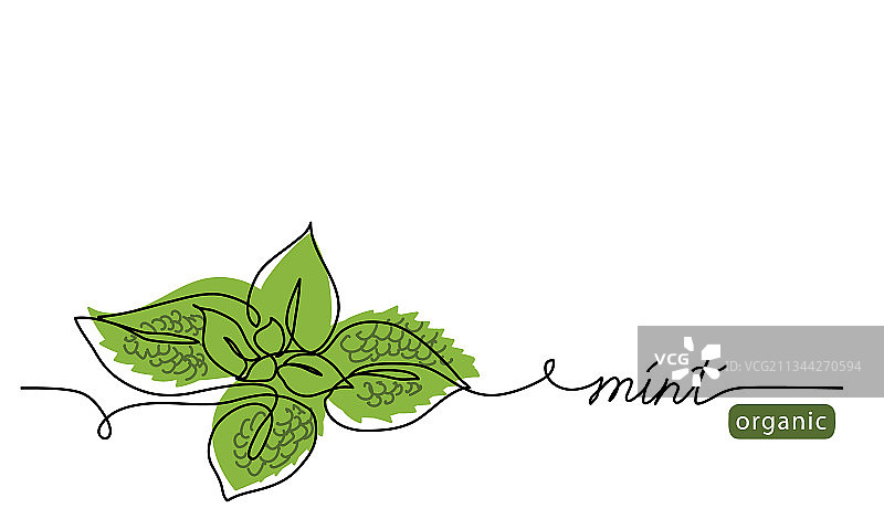 薄荷绿薄荷背景图片素材