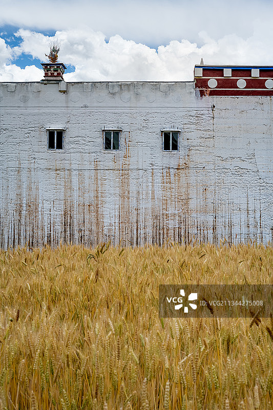 川西乡城的白藏房是当地一大特色图片素材