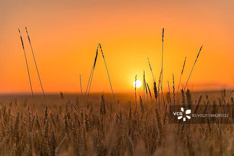 西安长安不日出拍天逆光唯美风光图片素材