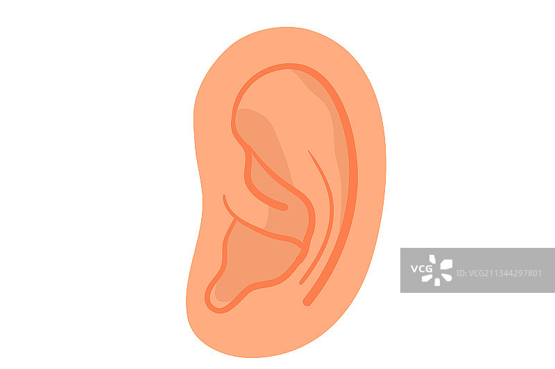 耳朵矢量插画图片素材