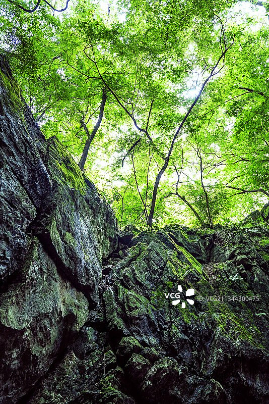 武汉白云洞图片素材