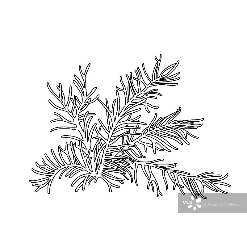 着色书用茂盛的珊瑚图片素材