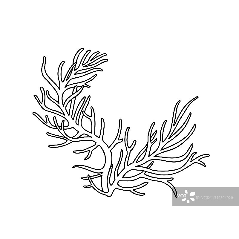 珊瑚着色书线性图图片素材