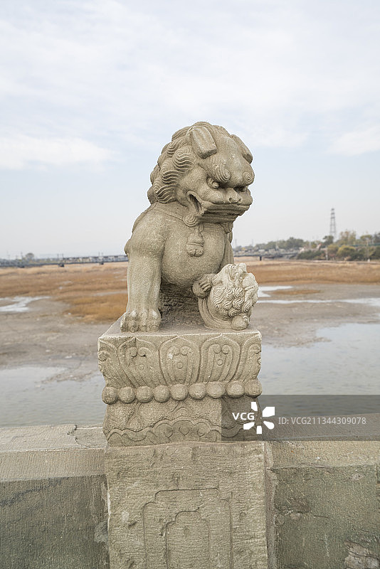 卢沟桥石狮子特写图片素材