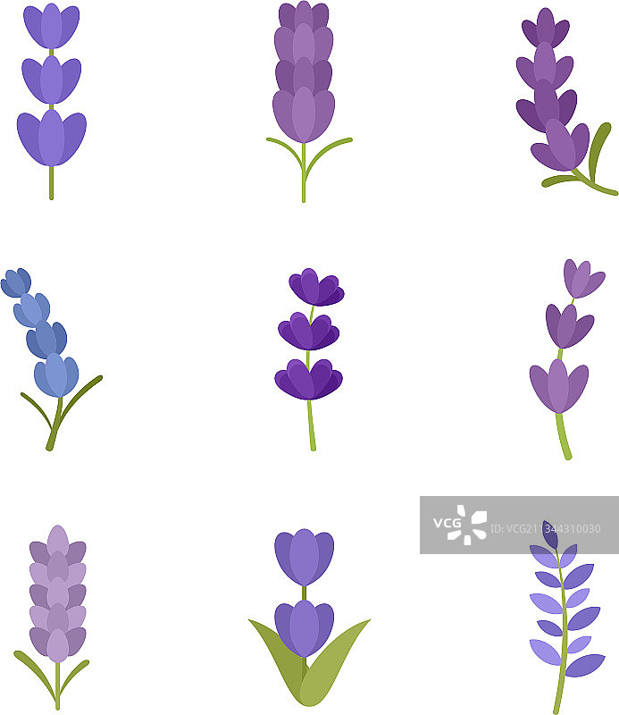 薰衣草图标扁平风格合集图片素材