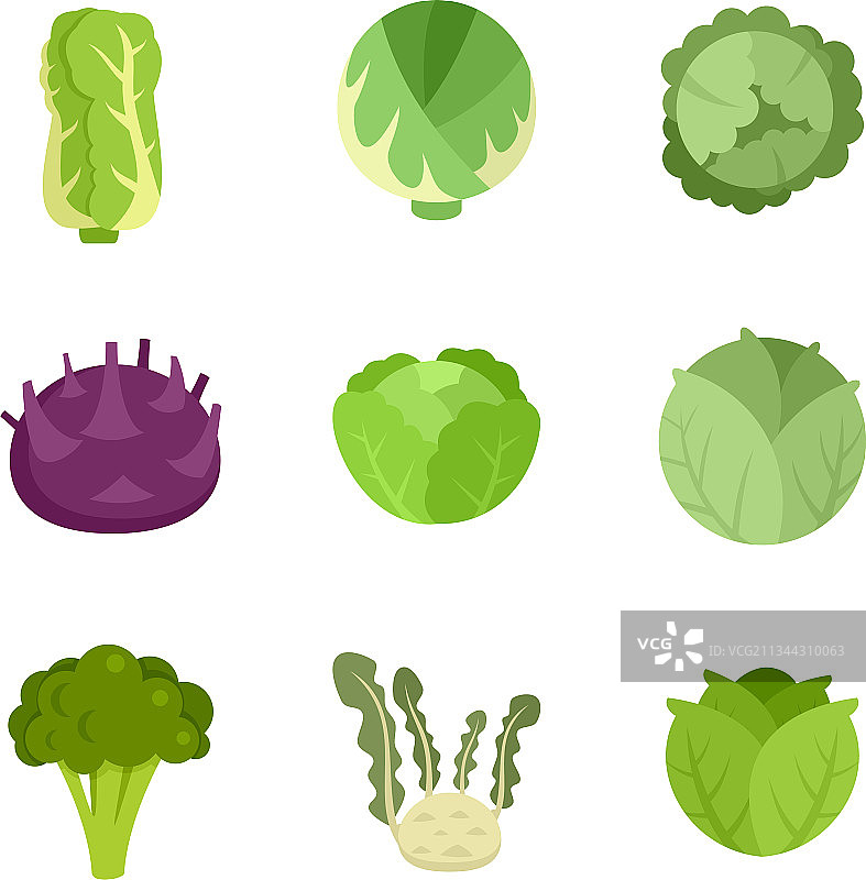 卷心菜图标扁平化设计图片素材