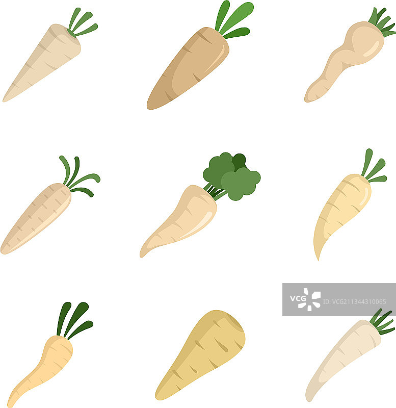 欧洲防风草图标扁平集合图片素材