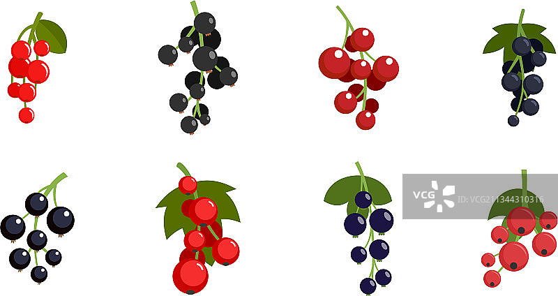 醋栗浆果图标扁平隔离设置图片素材