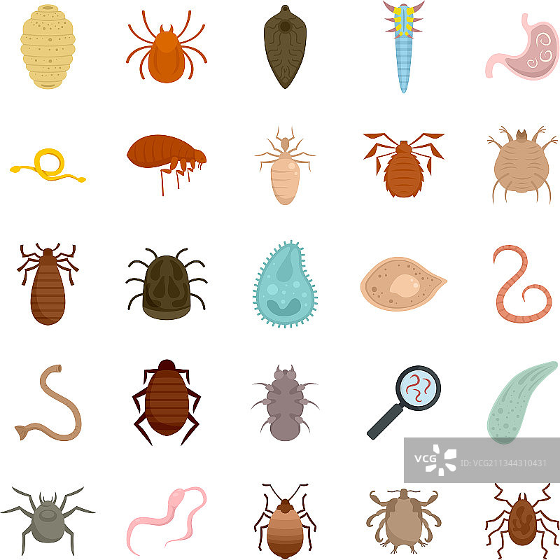 寄生虫扁平图标集图片素材