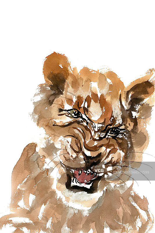 狰狞的小老虎图片素材