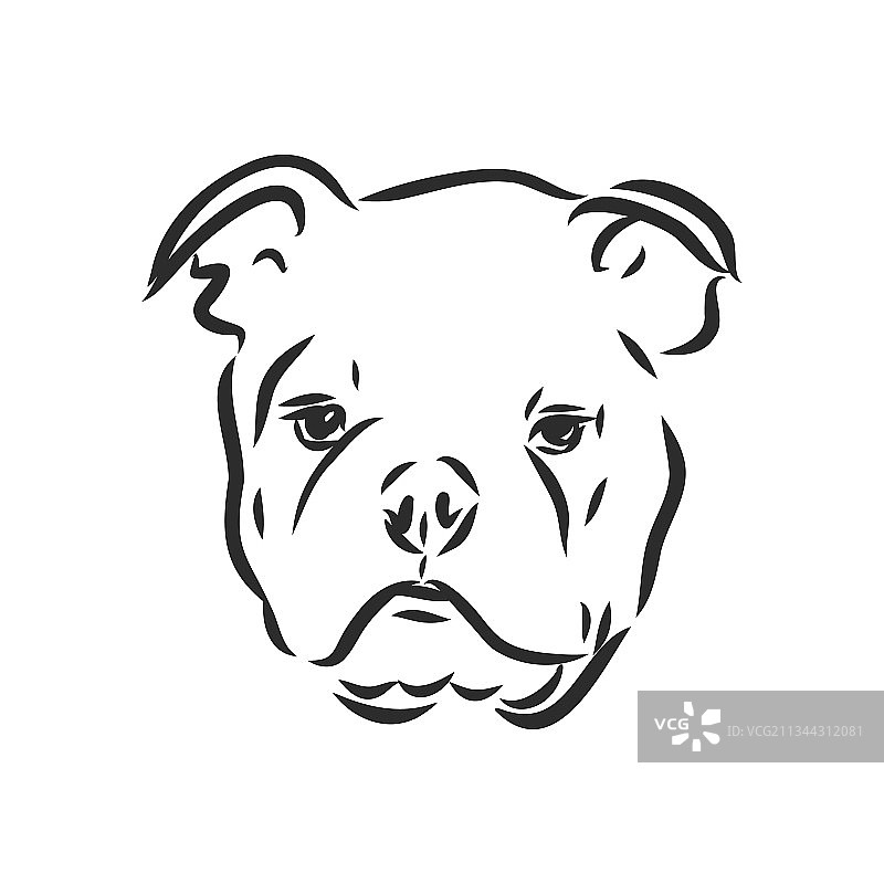 线条艺术法斗犬三种差异图片素材