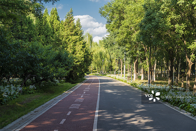 阳光下北京国际企业文化园塑胶跑道步道图片素材