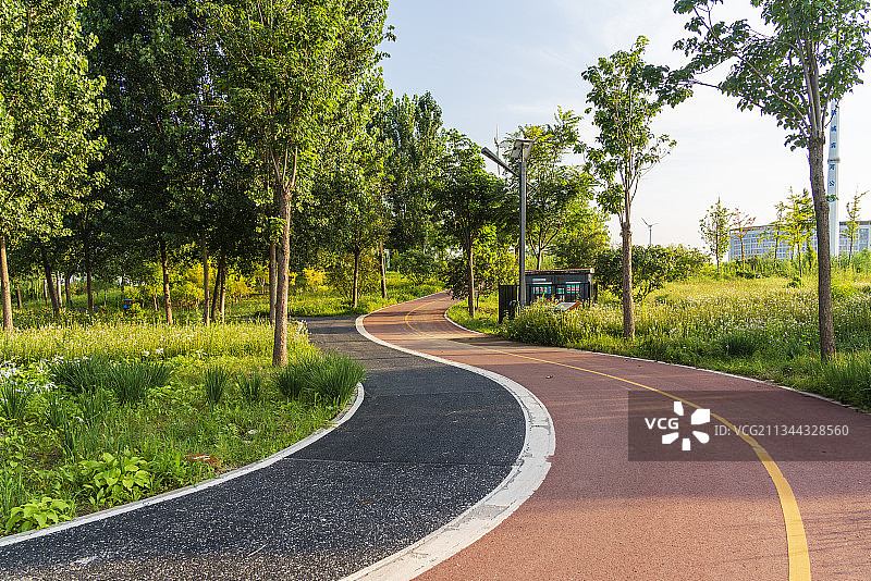夏季阳光下凉水河公园三区步道风车小花图片素材