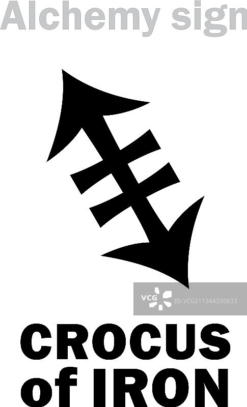 番红花图片素材