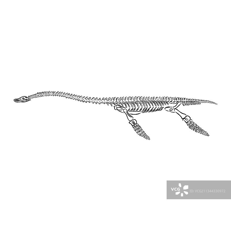 白色背景上孤立的三角龙图形图片素材