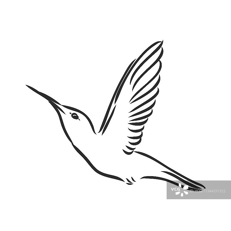 白色背景上的手绘草图图片素材