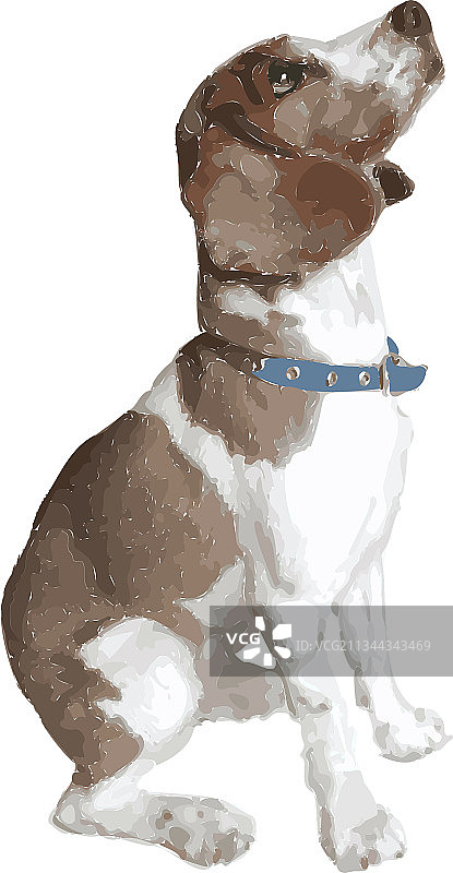 坐着的英国可卡犬图片素材