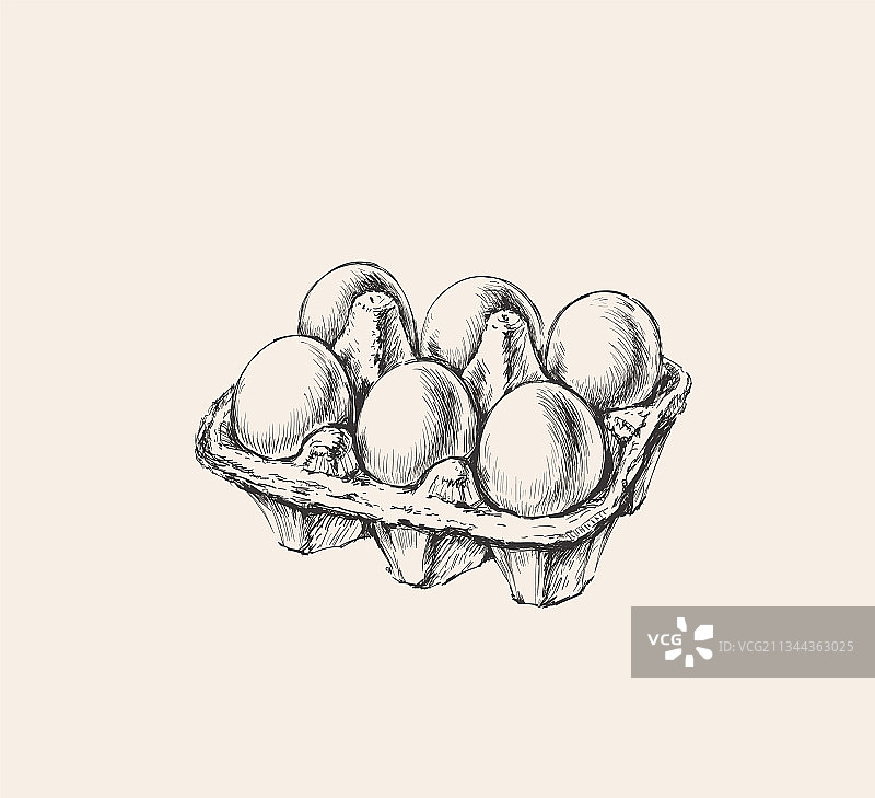 手绘墨水风鸡蛋包装图片素材