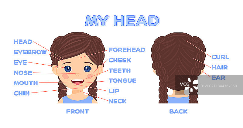 卡通女孩头部和面部学习游戏图片素材