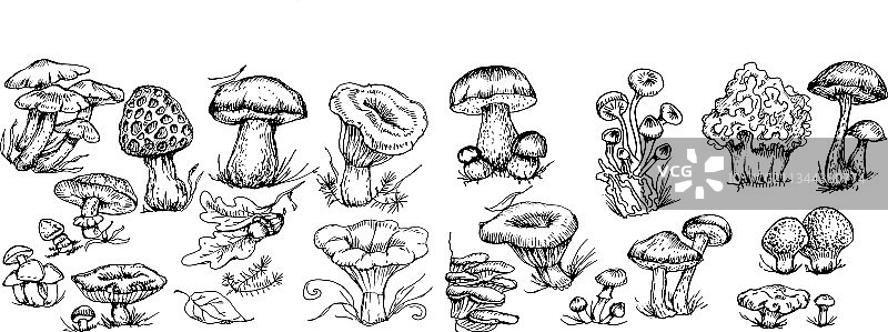 手绘蘑菇图案纺织品图片素材