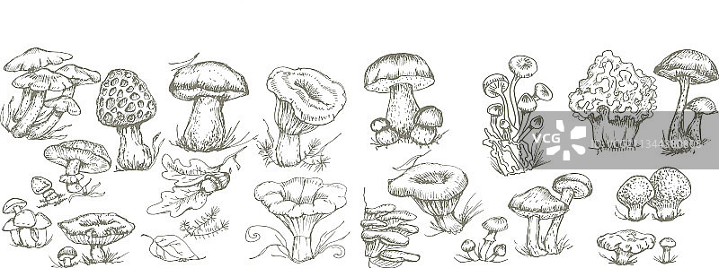 手绘蘑菇图案纺织品图片素材