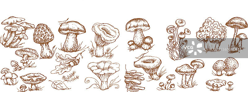 手绘蘑菇图案纺织品图片素材