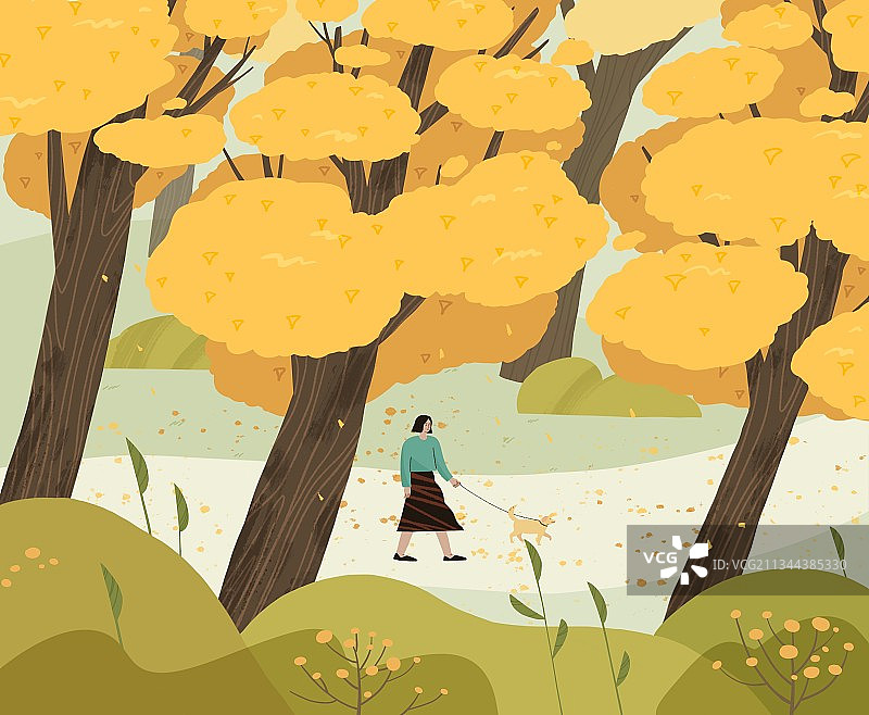 秋天，银杏，散步，公园，遛狗图片素材