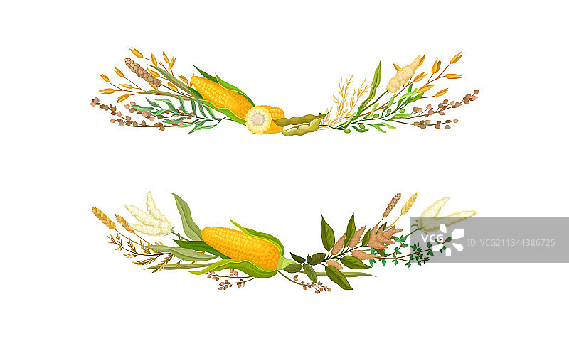 不同麦穗农业合成图图片素材