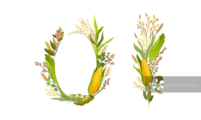 不同麦穗农业合成图图片素材