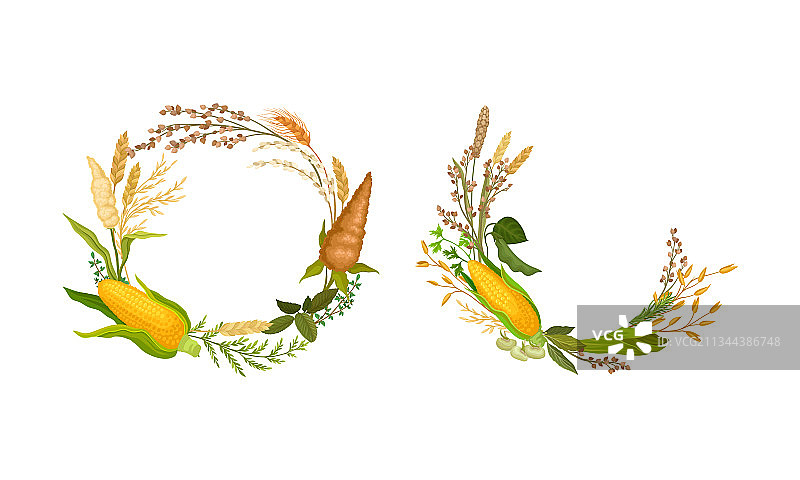 不同麦穗农业合成图图片素材