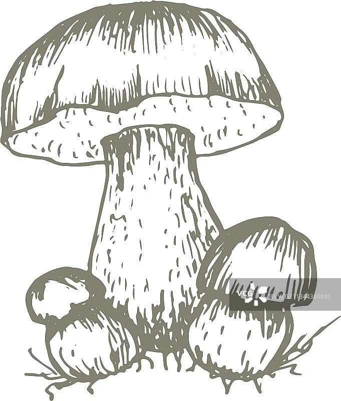 手绘蘑菇图案纺织品图片素材