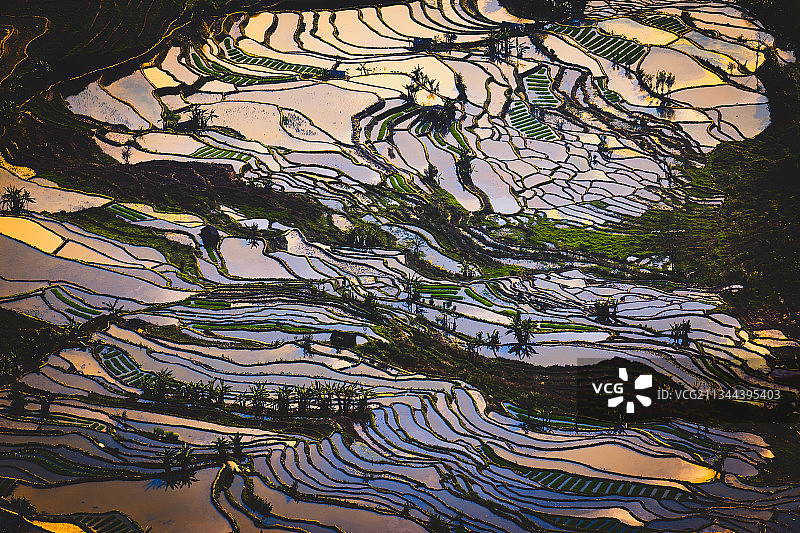 元阳梯田老虎嘴傍晚时光图片素材