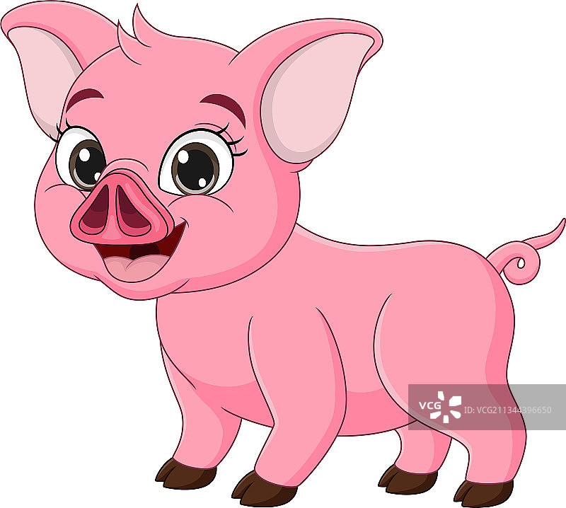 白色背景上的可爱小猪卡通图片素材