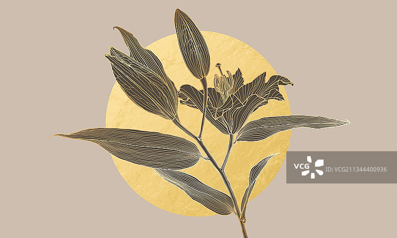 奢华装饰艺术百合花金色线性图图片素材