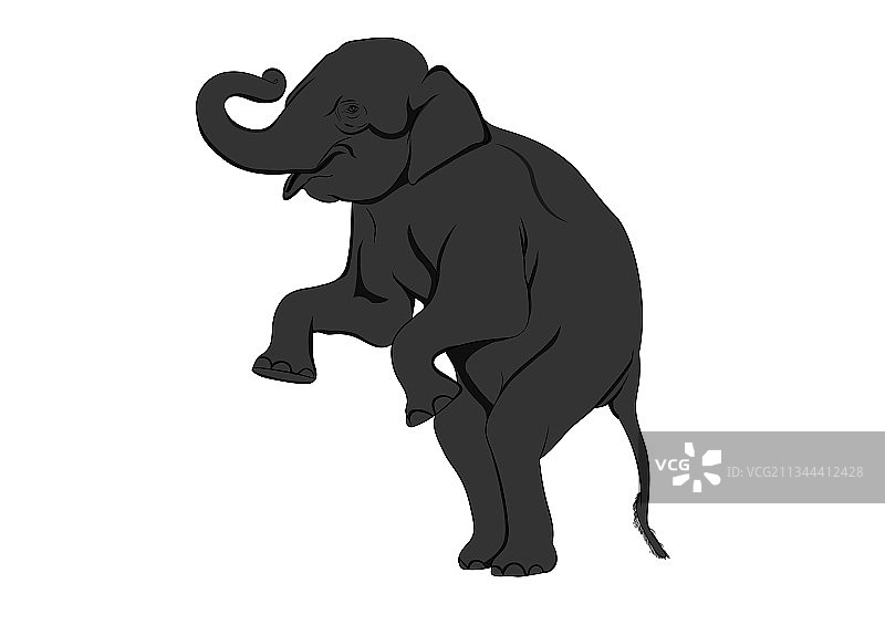 亚洲站立的白色背景大象图片素材