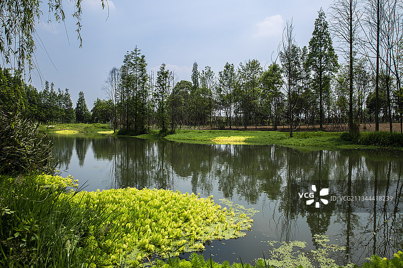 成都恺木河湿地公园图片素材