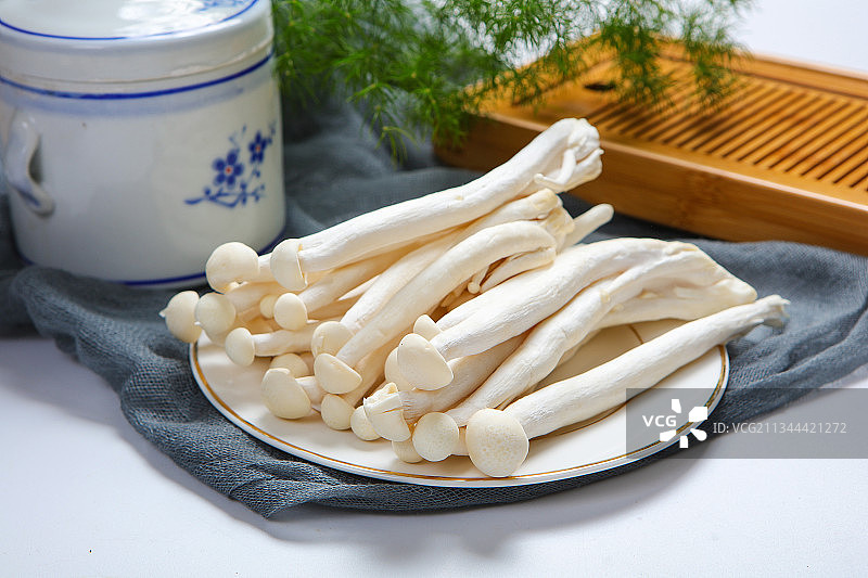 海鲜菇图片素材