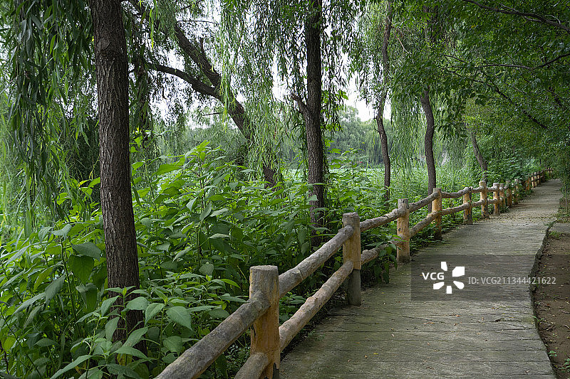 北京红螺湖鸟岛景区图片素材