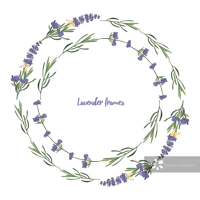 紫罗兰薰衣草精美花卉边框套装图片素材