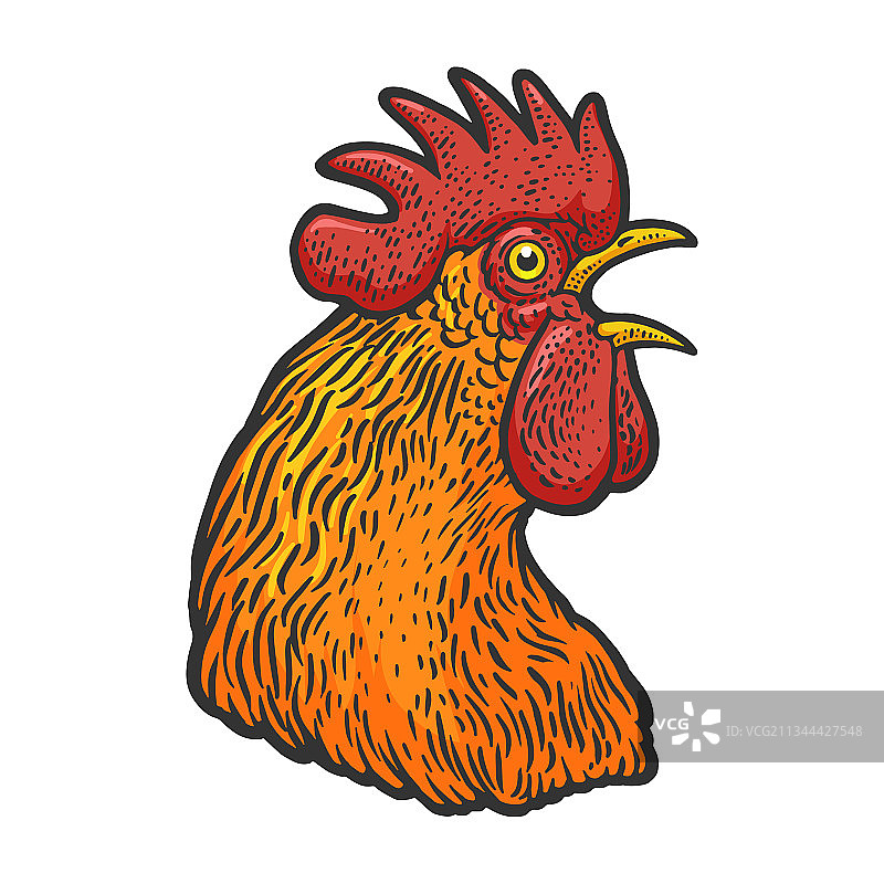 鸡头素描图片素材