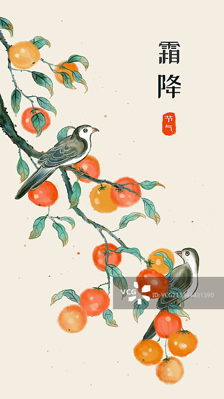 中国风柿子图片素材