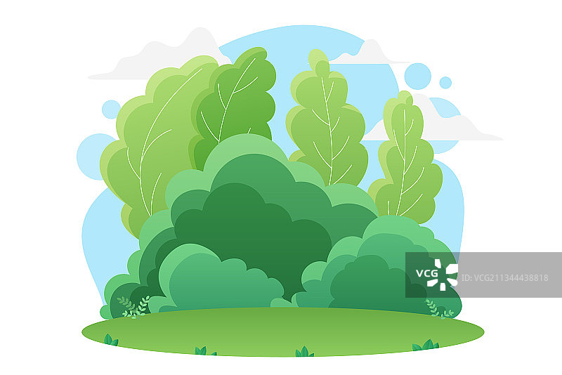 夏季绿色森林或公园自然景观图片素材